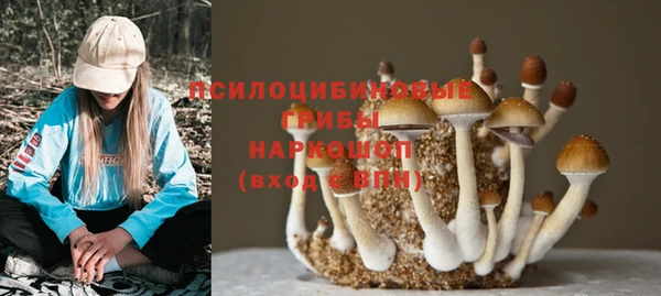 меф Армянск