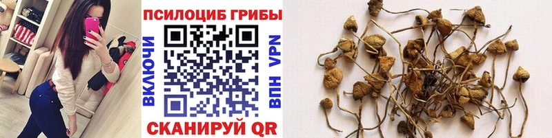 Галлюциногенные грибы GOLDEN TEACHER  Верхний Уфалей 